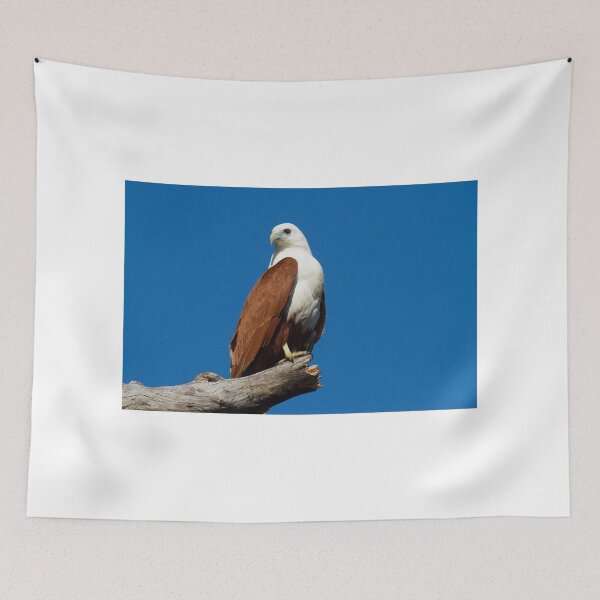 Item preview, Proud   designed and sold by byronbackyard.
