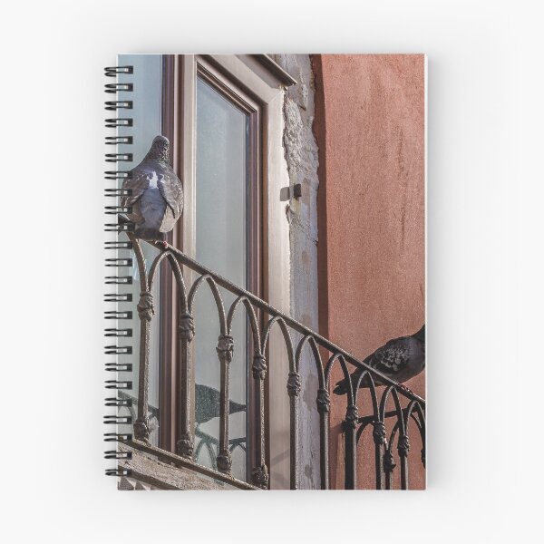 Item preview, Birds in Venice designed and sold by alessionastro.