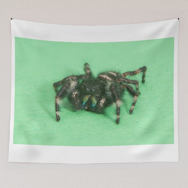 Item preview, Tiny Jumping Spider designed and sold by WorldDesign.