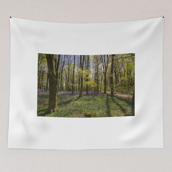 Item preview, Kings Wood Bluebells designed and sold by spcphotography.