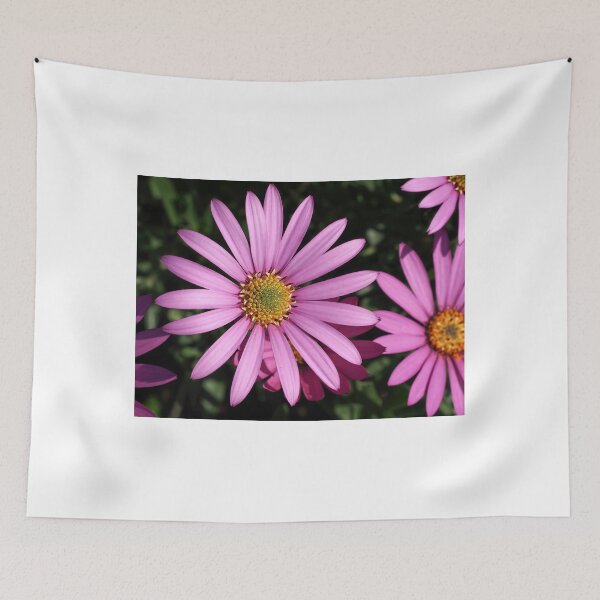 Item preview, Margaritas rosadas designed and sold by Dorset Girl.
