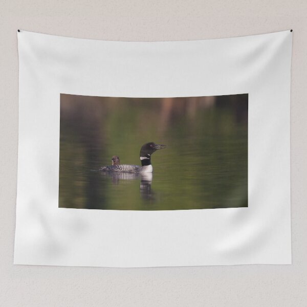 Item preview, Wake-up call - Common loons designed and sold by James Cumming.