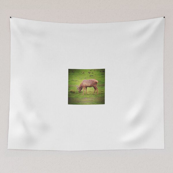 Item preview, Grazing deer designed and sold by Jonesyinc.