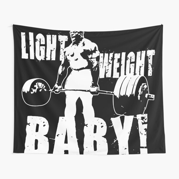 Gym Banner Tapestry Winged Skull Barbell – Style My Pride