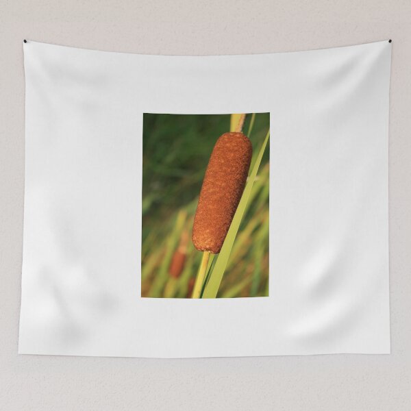 Item preview, Cattails designed and sold by Heather Miletich.