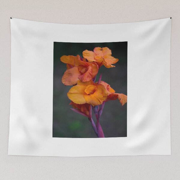 Item preview, Canna Lily designed and sold by RGKphotos.