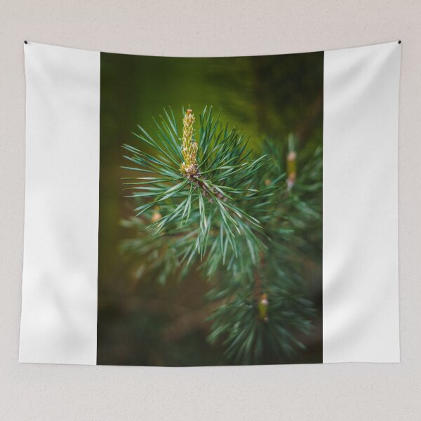 Item preview, Pine bud designed and sold by Tamas KLAUSZ.
