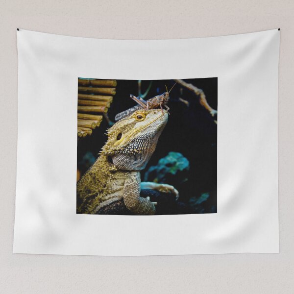 Item preview, Smaugling's Dinner Hat designed and sold by mvladd.