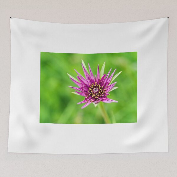Item preview, Jack-go-to-bed-at-noon designed and sold by Dorset Girl.