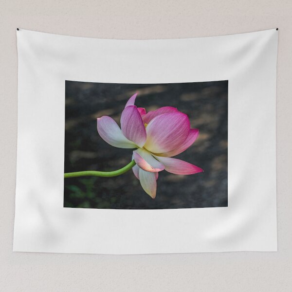 Item preview, Lotus designed and sold by ketut suwitra.