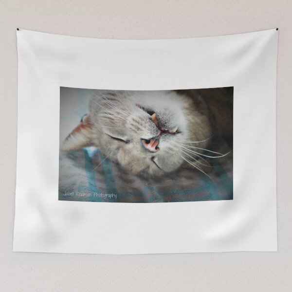 Item preview, Terios, a life less boring.. designed and sold by janet reidman.
