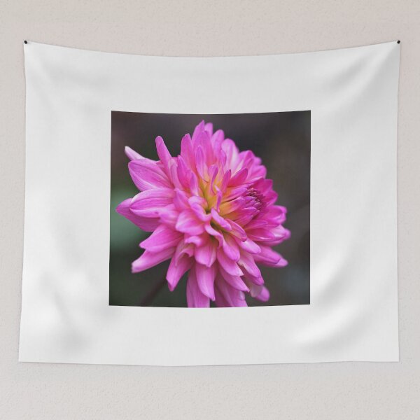 Item preview, Dahlia Think Pink designed and sold by Joy Watson - Natural Light Photography .