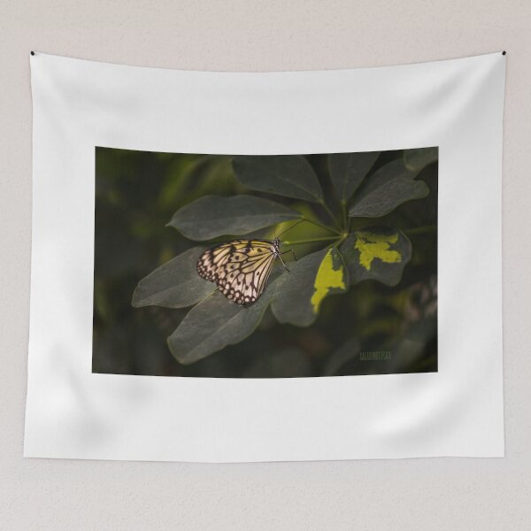 Item preview, Rice Paper Butterfly- 2 designed and sold by Calazones-Flics.