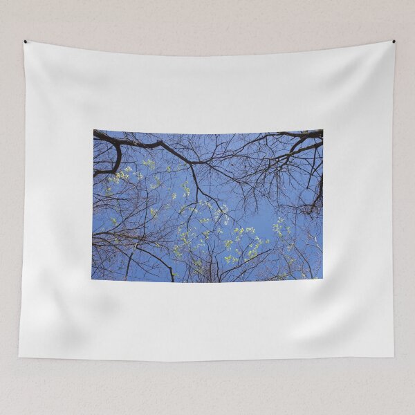 Item preview, Look Up  designed and sold by WisePhoto.