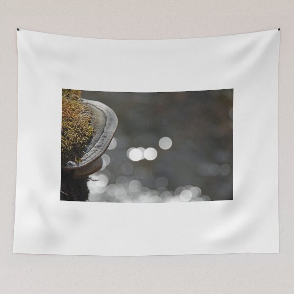 Item preview, Mushrooms And Lights designed and sold by Mezei József Tibor.