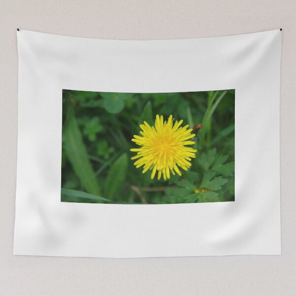 Item preview, Taraxacum designed and sold by Mezei József Tibor.
