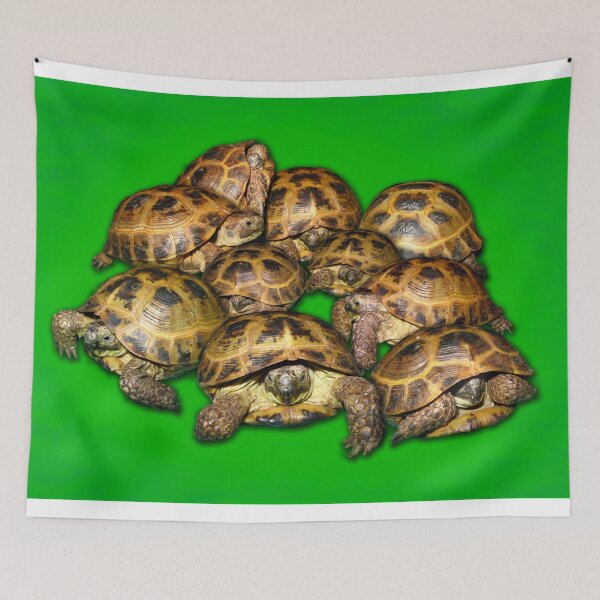 Item preview, Greek Tortoise Group on Bright Green Background designed and sold by LuckyTortoise.