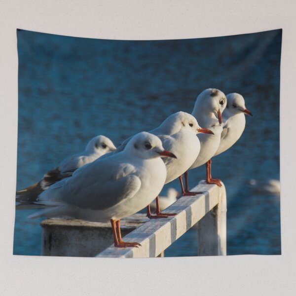 Item preview, Birds designed and sold by Giuseppe Roberto.