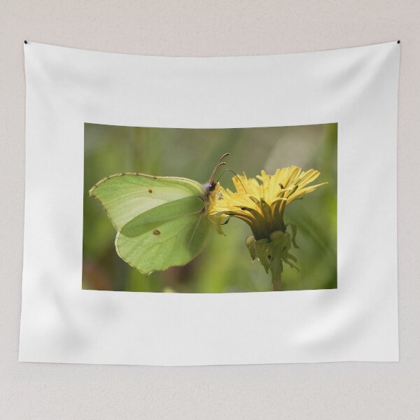 Item preview, Brimstone Butterfly designed and sold by Neil Bygrave (NATURELENS).