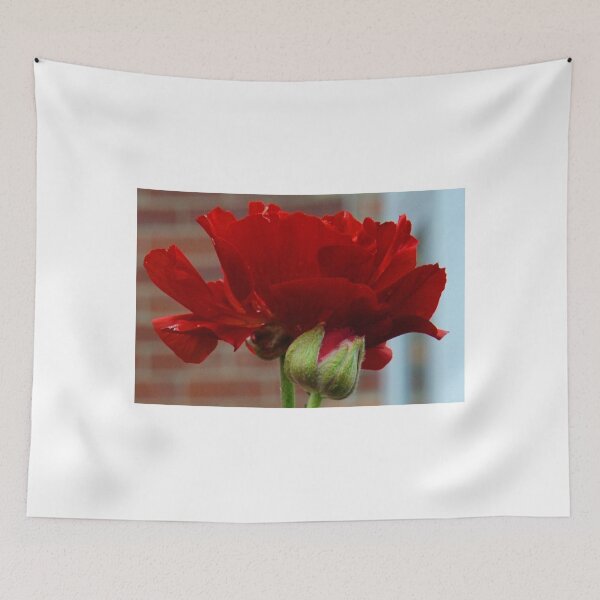 Item preview, Red, Ranunculus Flowers.....Lyme Dorset UK designed and sold by lynn carter.