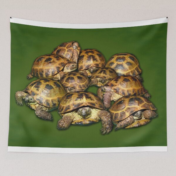 Item preview, Greek Tortoise Group on Darn Green Background designed and sold by LuckyTortoise.