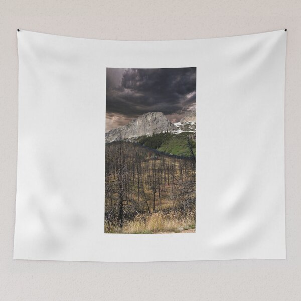 Item preview, 4208 designed and sold by peter holme III.