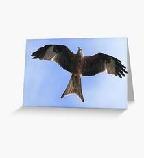 Flight Of The Kite Greeting Card