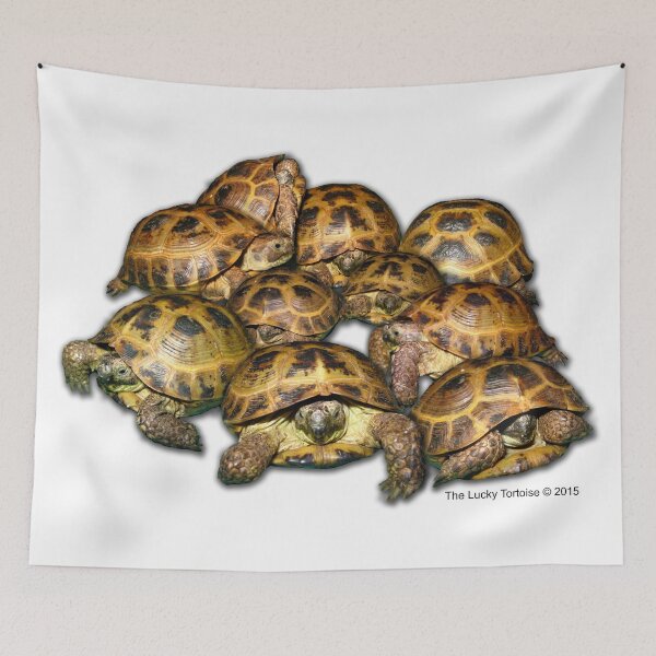 Aperçu de l'œuvre Groupe de tortues grecques créée et vendue par LuckyTortoise.