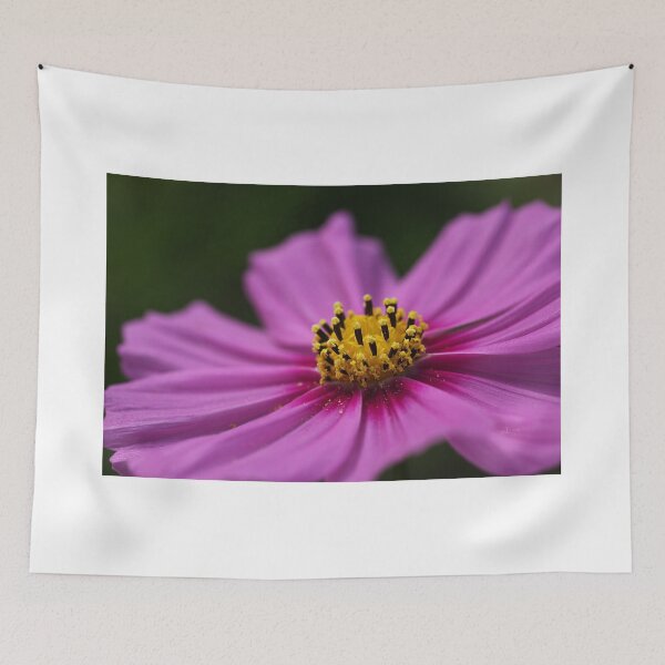 Item preview, Pink Wish designed and sold by Joy Watson - Natural Light Photography .