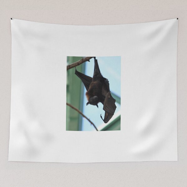 Item preview, Hanging Bat print designed and sold by KirstyGeee.