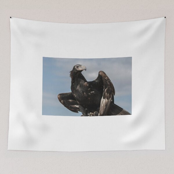 Item preview, Statuesque Wedgetail designed and sold by Emma McPherson.