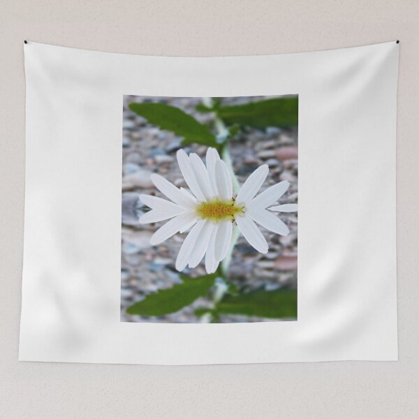 Item preview, Daisy - Mirrored designed and sold by mezzilicious.