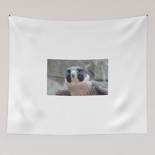 Item preview, Peregrine falcon designed and sold by corrado.