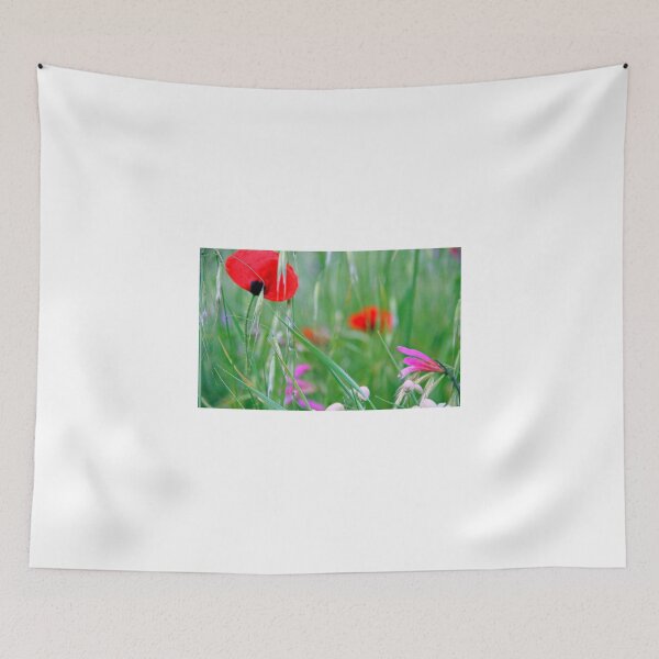 Item preview, Sammy designed and sold by gluca.