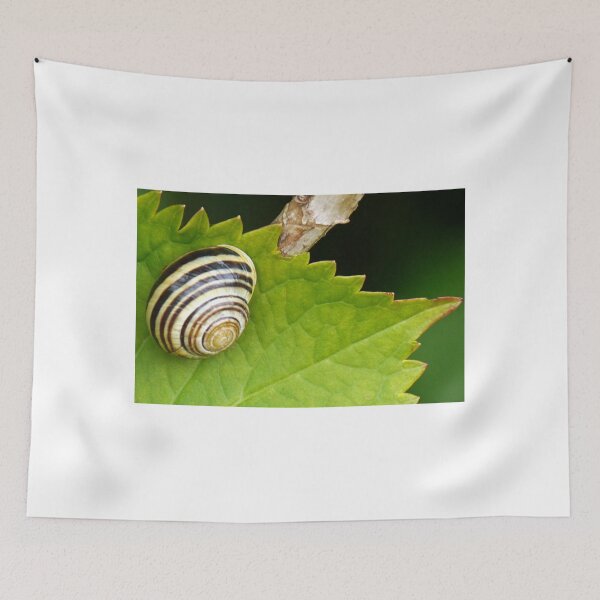 Item preview, A Shiny Snail..........Dorset UK designed and sold by lynn carter.