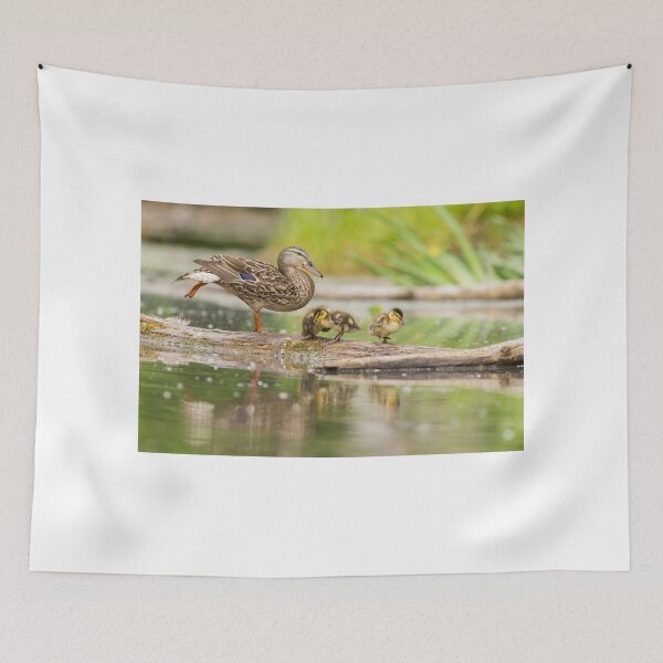 Item preview, Mallard Family  designed and sold by MIRCEA COSTINA.