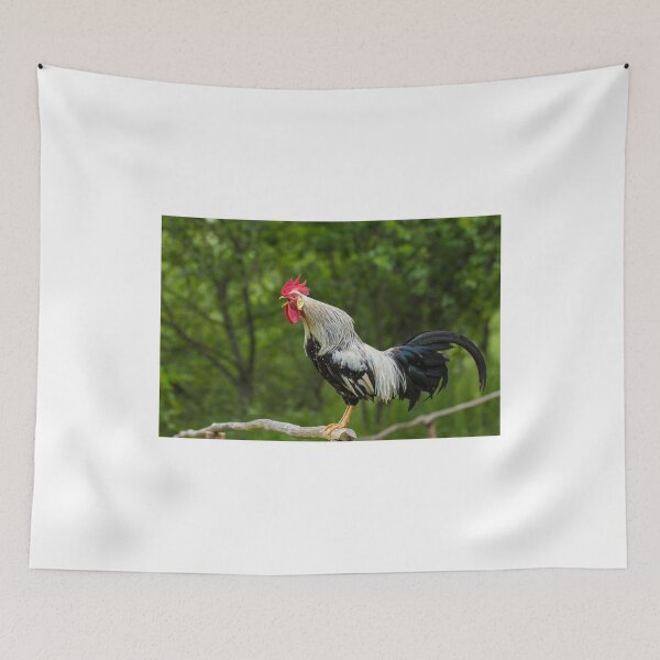 Item preview, Crowing rooster designed and sold by MIRCEA COSTINA.
