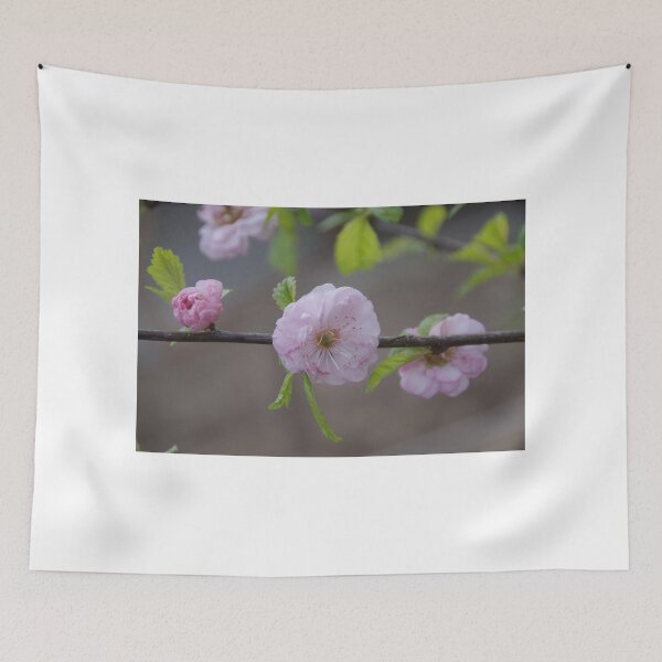 Item preview, Miniature Flowering Cherry designed and sold by lezvee.