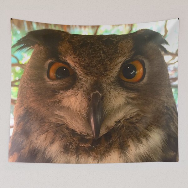 Item preview, Crazy Eyed Owl designed and sold by BlakeyCakes.