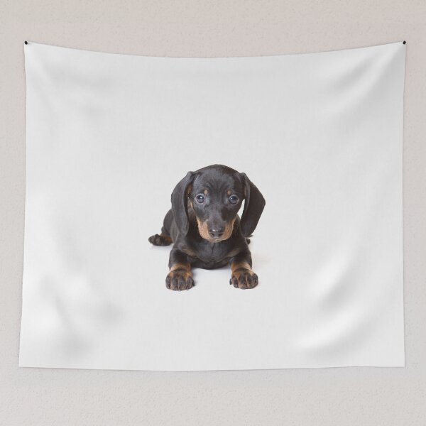 Item preview, Charming cute dachshund puppy dog designed and sold by utekhina.