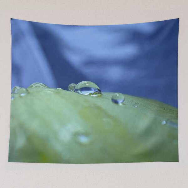 Item preview, Morning Droplets designed and sold by umeimages.