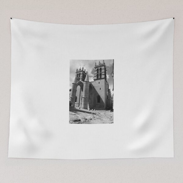 Item preview, Cathedral Saint-Pierre de Montpellier designed and sold by RunAmok.