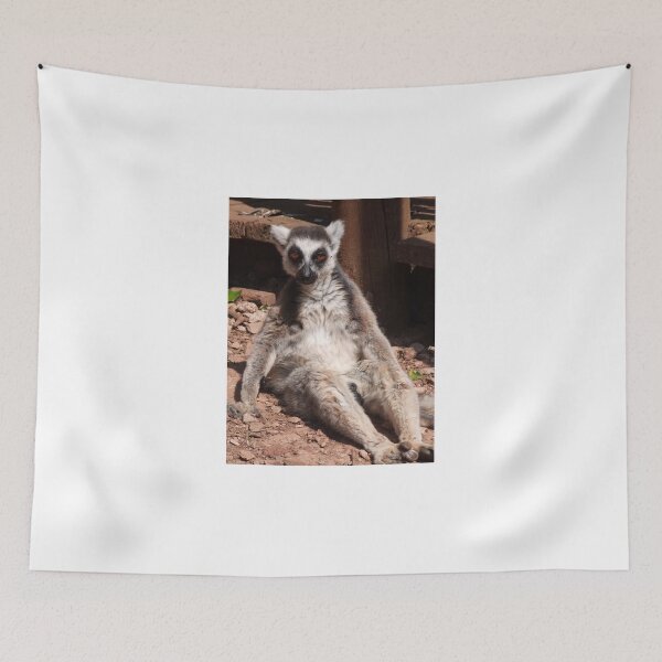 Item preview, Have you never seen a lemur before?? designed and sold by wenniewombat.