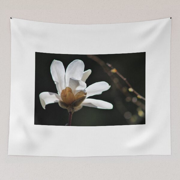 Item preview, Dreamy Magnolia designed and sold by Kathleen Daley.