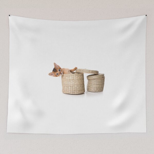 Item preview, Lovely fluffy kitten Abyssinian cat designed and sold by utekhina.