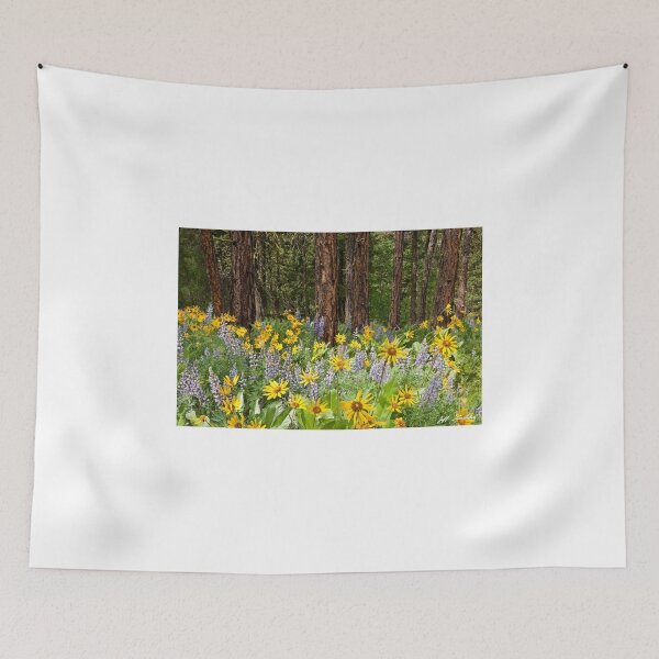 Item preview, Wildflowers in a Ponderosa Pine Forest designed and sold by Jeff Goulden Photography.