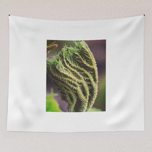 Item preview, Gunnera designed and sold by Jonesyinc.