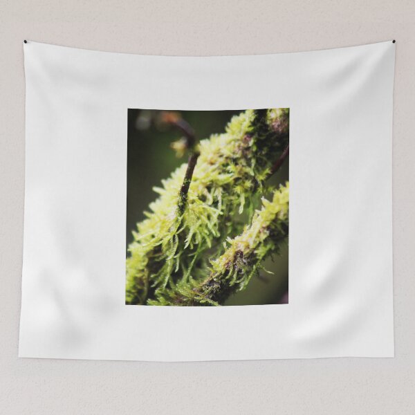 Item preview, Tree moss designed and sold by Jonesyinc.