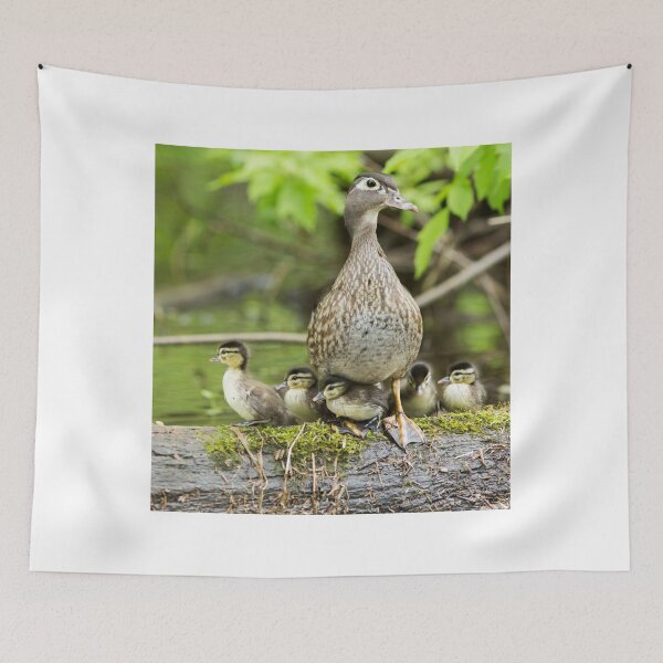Item preview, Wood Duck Family designed and sold by MIRCEA COSTINA.