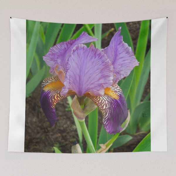 Item preview, The Purple Iris Stands Alone designed and sold by ginawaltersdorf.